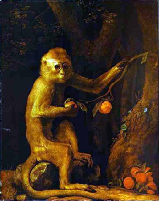 George Stubbs Green Monkey Norge oil painting art